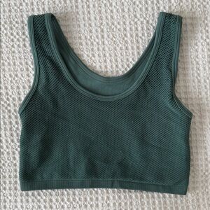 Aerie Green Mesh Crop Top